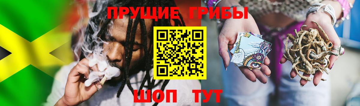 Ликино-Дулёво  Галлюциногенные грибы Psilocybine cubensis  Вход с VPN  Галлюциногенные грибы Magic Shrooms 